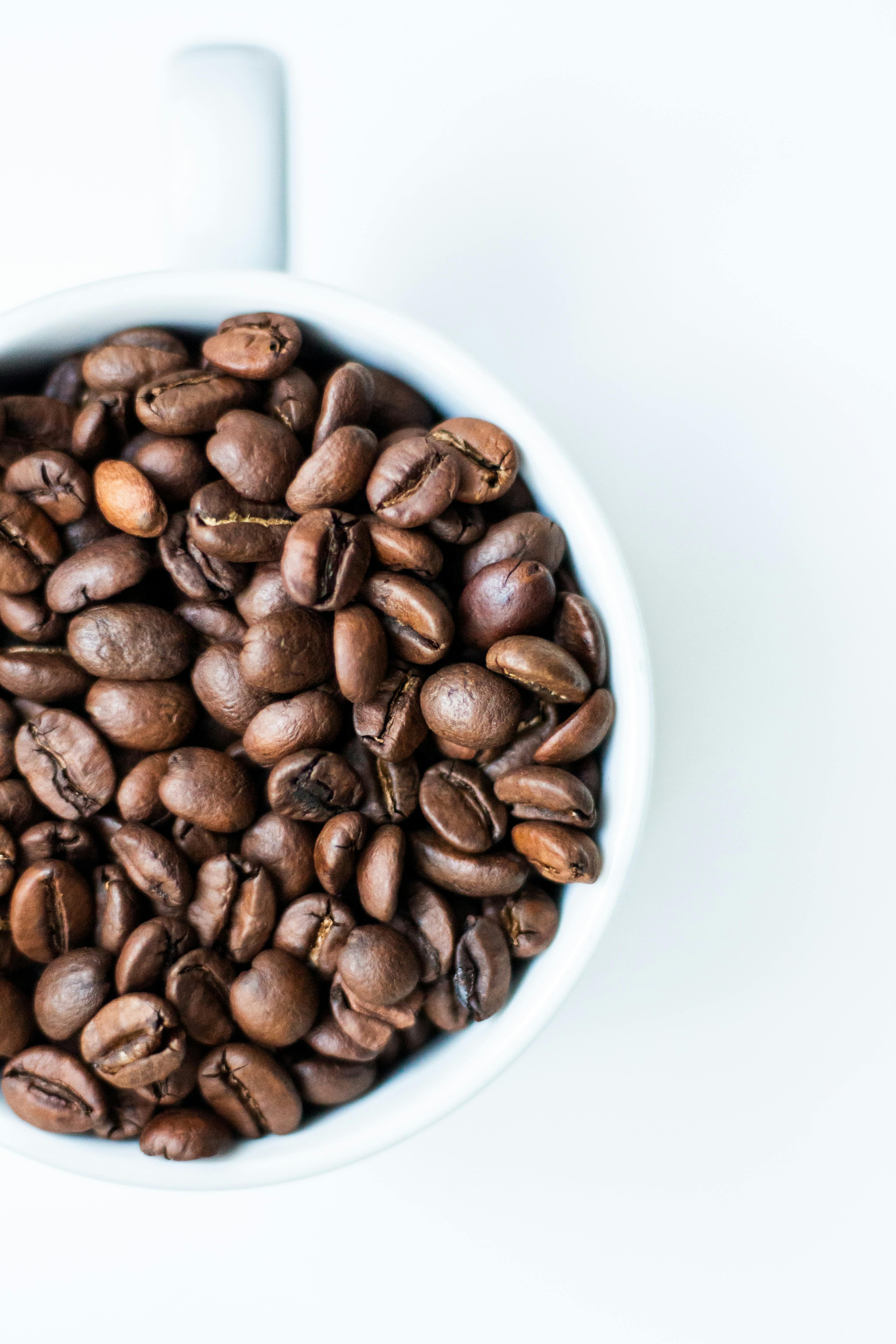 Coffee Bean & Ground